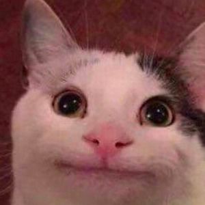 Meet your Posher, Nicholas